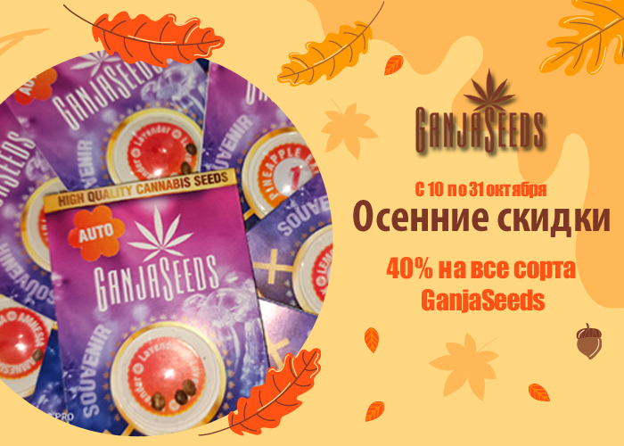 Октябрьская жара от GanjaSeeds: скидка 40 % на все сорта! Октябрьская жара от GanjaSeeds: скидка 40 % на все сорта!
